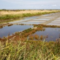 2008-09-iledere-OK (17)